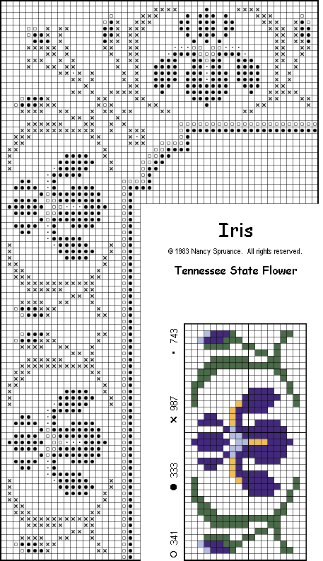 Iris chart